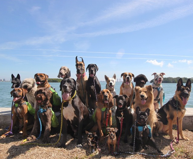 Illustration for article titled Yes, this photo is the best